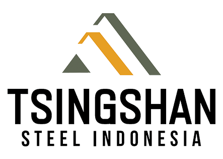 Tsingshan Holding Group